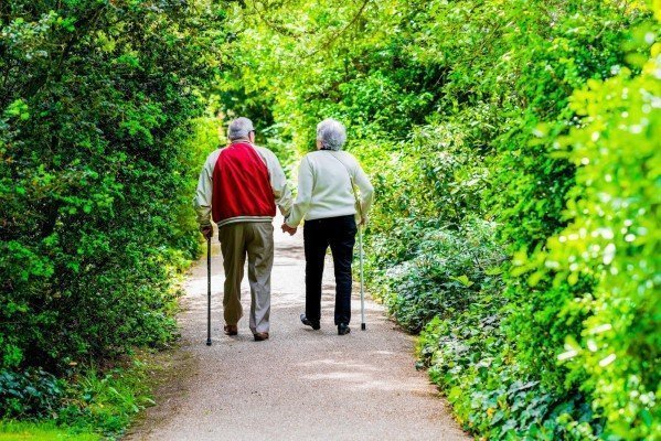 benefícios do contato com a natureza para a terceira idade